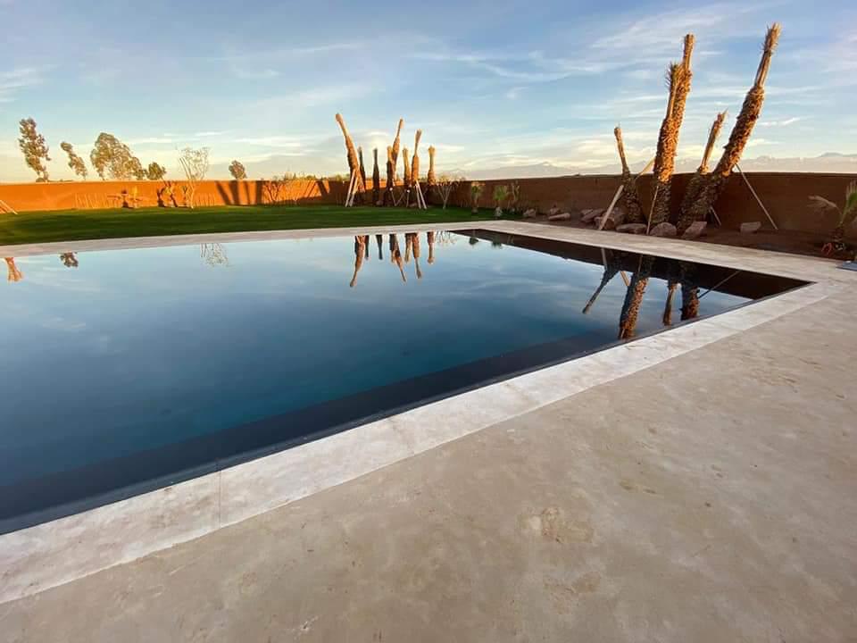 Piscine terrasse béton lisse